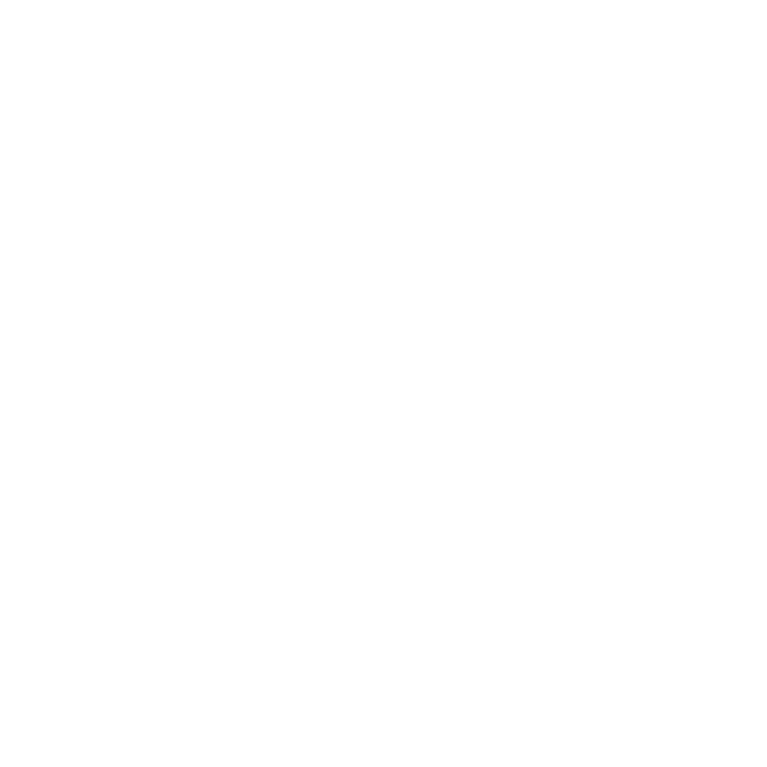 Bomb Icon